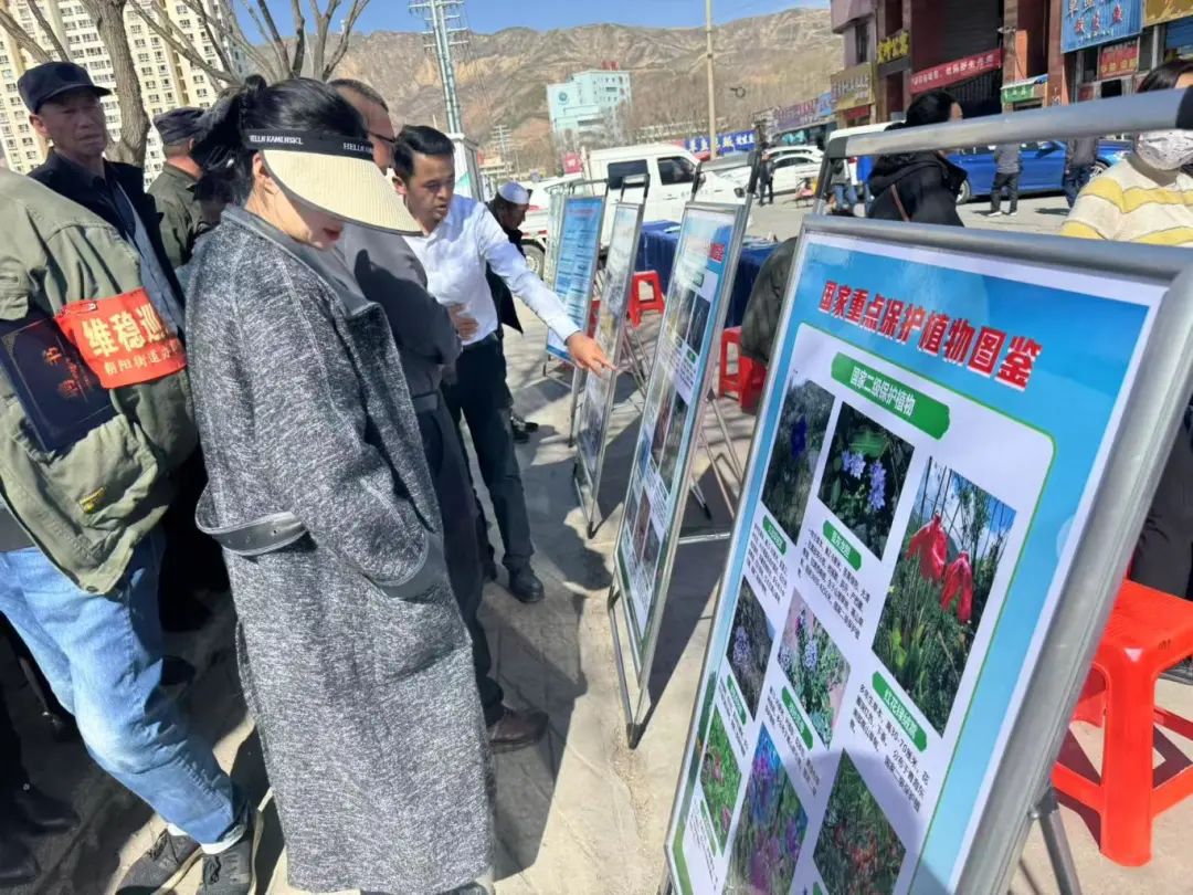 守护野生动物 呵护生态家园——城东区开展保护野生动植物集中宣传活动