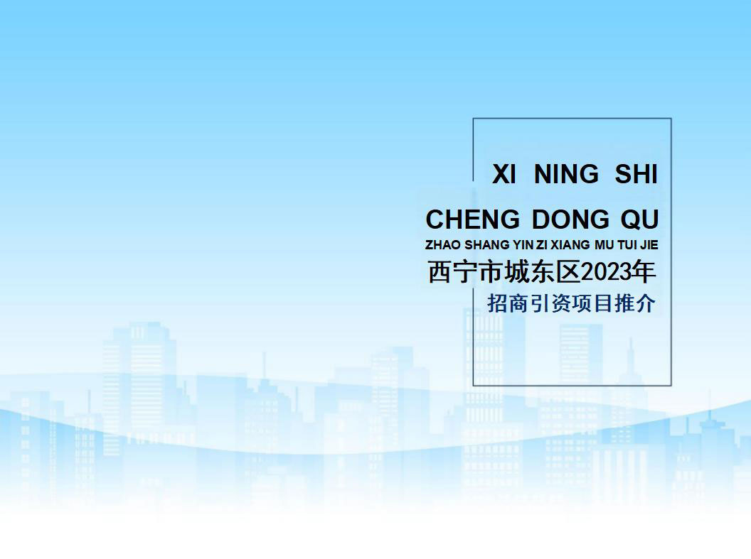 西宁市城东区2023年招商引资项目推介(4)_01_02.jpg
