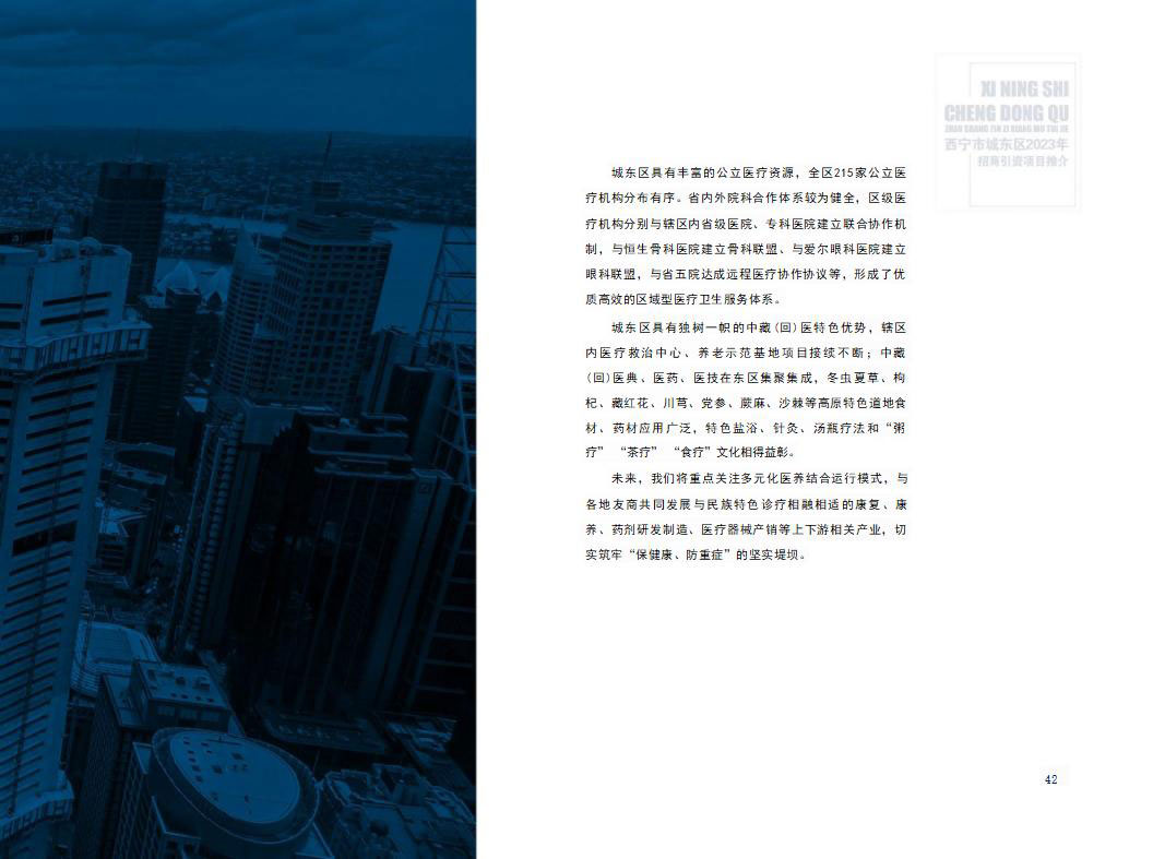 西宁市城东区2023年招商引资项目推介(4)_23_02.jpg