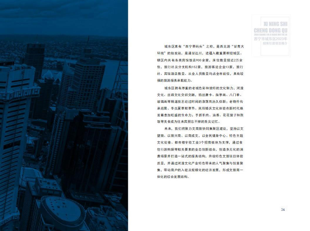 西宁市城东区2023年招商引资项目推介(4)_19_02.jpg